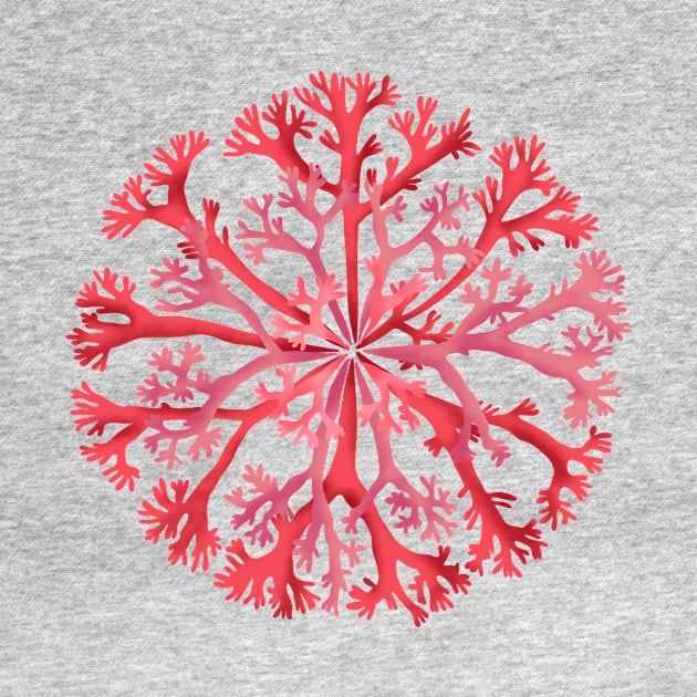 Coral rosette by Pacesyte